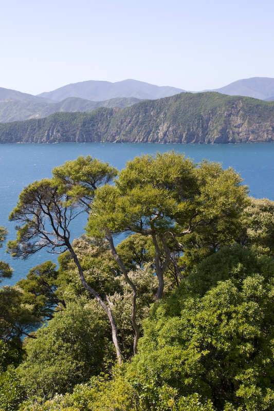 View From Summit Of Motuara Island